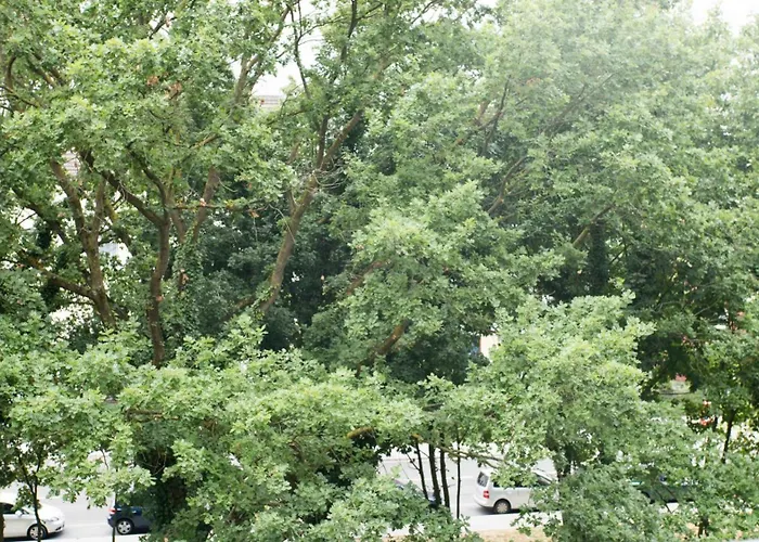 Work And Balcony דירה